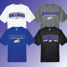 BHS  Tech Tee